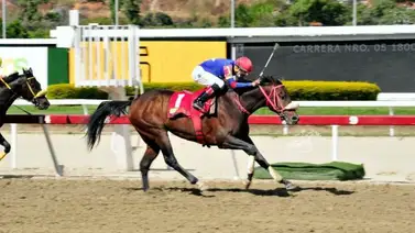 ¿Quiénes son los participantes de la edición 76 del Clásico Simón Bolívar en La Rinconada? ¿Quiénes son los participantes de la edición 76 del Clásico Simón Bolívar en La Rinconada?