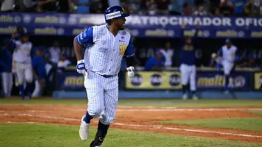LVBP: Daniel Mayora, un camino entre Leones, Tiburones y Magallanes LVBP: Daniel Mayora, un camino entre Leones, Tiburones y Magallanes