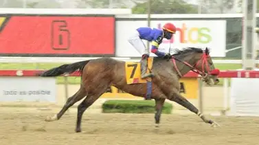 ¿Cuándo se corre el Clásico Internacional Simón Bolívar 2022? ¿Cuándo se corre el Clásico Internacional Simón Bolívar 2022?