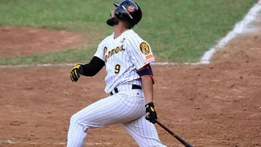 LVBP: Estos son los peloteros que lideran la ofensiva de los Leones