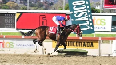 ¿Qué pasaría si Lusitano o Apistos ganan el Clásico Internacional Simón Bolívar?