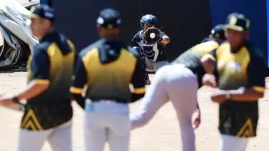 LVBP: Leones del Caracas suma a dos lanzadores al roster LVBP: Leones del Caracas suma a dos lanzadores al roster