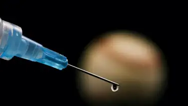 MLB: Estos países encabezan la lista de casos positivos por uso de sustancias prohibidas MLB: Estos países encabezan la lista de casos positivos por uso de sustancias prohibidas