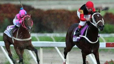 ¿Sabes quiénes son los entrenadores que más veces han ganado el Clásico Internacional del Caribe?