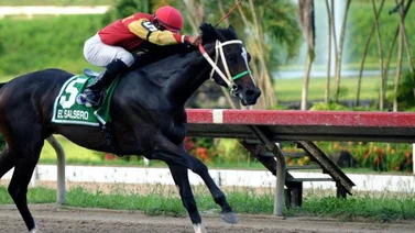 ¿Quiénes serán los representantes de Puerto Rico para la Serie Hípica del Caribe 2022?