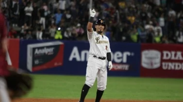 LVBP: Estas son las razones por las cuales Leones del Caracas es líder de la LVBP