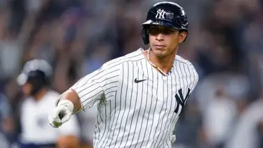 LVBP: César Collins espera contar pronto con dos grandeligas para Tiburones LVBP: César Collins espera contar pronto con dos grandeligas para Tiburones