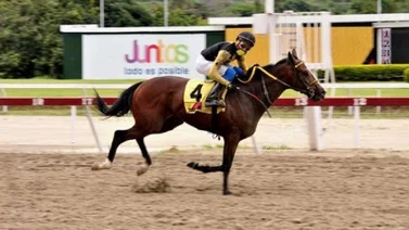 Estos son los posibles candidatos de Venezuela en el Clásico Internacional del Caribe