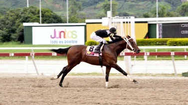 ¿Cuándo y donde se disputará el Clásico del Caribe 2022?