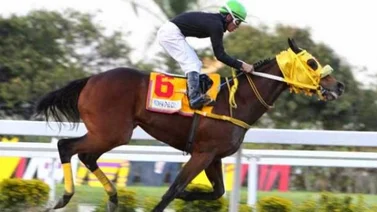 ¿Cuándo fue la última vez que ganó un ejemplar no venezolano en el Clásico del Caribe disputado en el país?