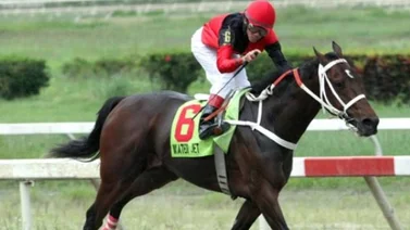 Conoce los récords del Clásico del Caribe que se hicieron en el hipódromo La Rinconada