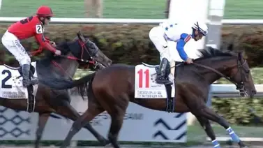 ¿Cuáles han sido los batacazos más grandes del Clásico del Caribe? ¿Cuáles han sido los batacazos más grandes del Clásico del Caribe?