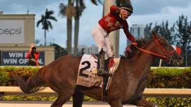 ¿Cuántas yeguas han ganado el Clásico Internacional del Caribe?