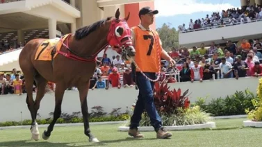 Retirados del hipódromo La Rinconada 27/11/2022