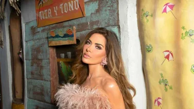 Gloria Trevi se quedó 'en pelotas' en pleno concierto (+VIDEO)