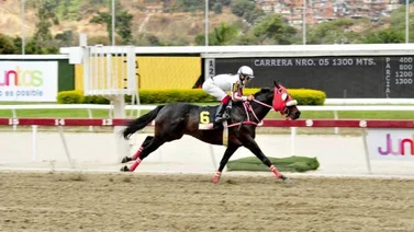 Cipriano Gil en la mira de los Comisarios del hipódromo La Rinconada por el caso Draxler