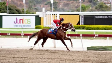 Dorian Gray reaparece después de 161 días sin correr en La Rinconada