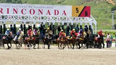 Así van las estadísticas en el hipódromo La Rinconada