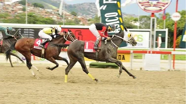 ¿Quiénes son las posibles participantes de la Copa Dama del Caribe 2022?