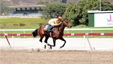 Estas son las posibles participantes de la Copa Confraternidad del Caribe versión hembras Estas son las posibles participantes de la Copa Confraternidad del Caribe versión hembras