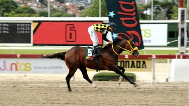 El hipódromo La Rinconada tendrá ambiente caribeño para la reunión 50