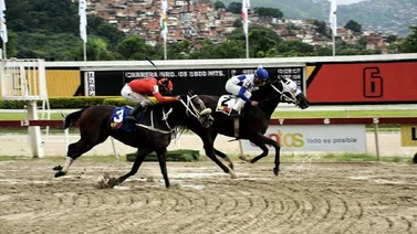 Ocho caballos medirán fuerzas por el Trofeo Meridiano Televisión de La Rinconada