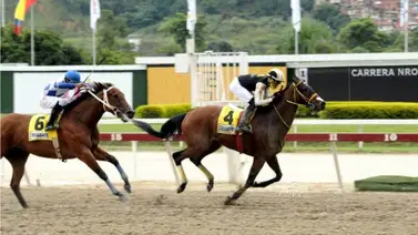 Sharapova comanda el favoritismo en la Copa Confraternidad del Caribe versión hembras Sharapova comanda el favoritismo en la Copa Confraternidad del Caribe versión hembras