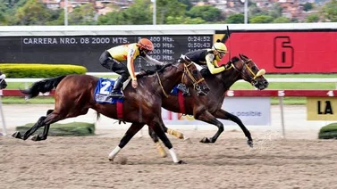 Venezuela con todo listo para la Serie Hípica del Caribe 2022