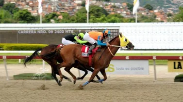 ¿Cuál fue el caballo que logró producir más dinero en la temporada 2022 de La Rinconada?