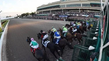 Datos de las carreras americanas (Simulcast Gulfstream Park 16/12/2022)