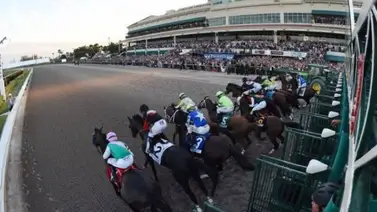 Datos de las carreras americanas (Simulcast Gulfstream Park 16/12/2022) Datos de las carreras americanas (Simulcast Gulfstream Park 16/12/2022)