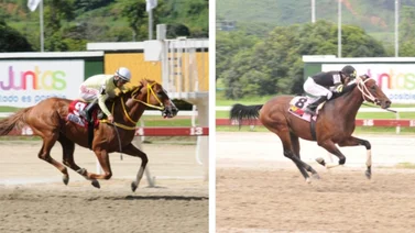 ¿Cuál caballo fue el mejor Sprinters de la temporada 2022 en La Rinconada?