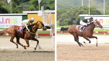 ¿Cuál caballo fue el mejor Sprinters de la temporada 2022 en La Rinconada? ¿Cuál caballo fue el mejor Sprinters de la temporada 2022 en La Rinconada?