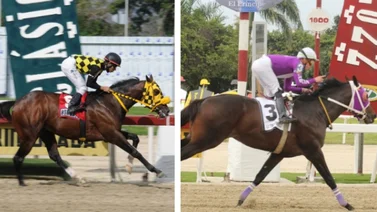 ¿Cuál fue el mejor potro de dos años en La Rinconada?