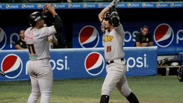 LVBP: Así amanecen las posiciones este lunes 19 de diciembre