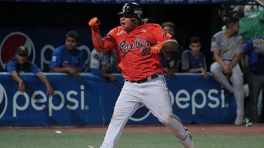 Cantidad de dinero que ganará Willians Astudillo en la Liga Japonesa