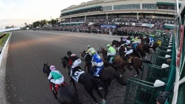 Datos de las carreras americanas (Simulcast Gulfstream Park 23/12/2022)