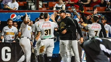 LVBP: Estos pueden ser los refuerzos de Leones del Caracas para el Round Robin