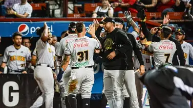 LVBP: Estos pueden ser los refuerzos de Leones del Caracas para el Round Robin LVBP: Estos pueden ser los refuerzos de Leones del Caracas para el Round Robin
