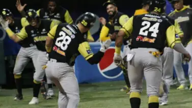 LVBP: Así amanecen las posiciones este miércoles 28 de diciembre LVBP: Así amanecen las posiciones este miércoles 28 de diciembre