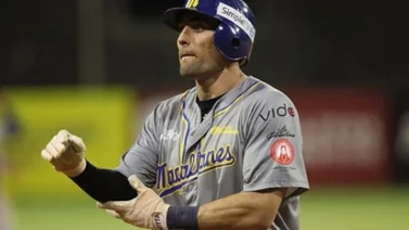 LVBP : Cade Gotta está en los planes de la gerencia de Magallanes