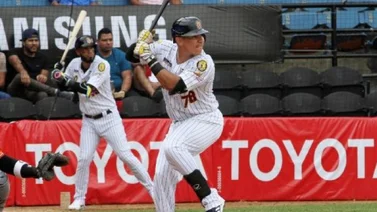 LVBP: Leones del Caracas felicitan a Freddy Fermín por el título de bateo