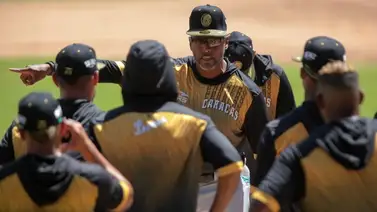 LVBP: Leones publica los dias de venta de los abonos para el round robin LVBP: Leones publica los dias de venta de los abonos para el round robin