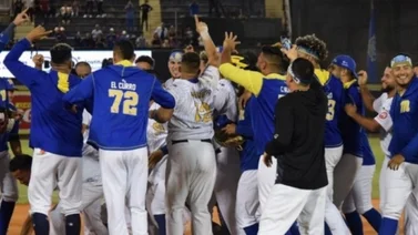 LVBP: Así quedó la serie particular de Magallanes frente a Leones, Cardenales, Tiburones y Tigres