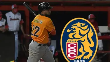 LVBP: ¿Cómo encaja Alí Castillo en el esquema de Leones del Caracas? LVBP: ¿Cómo encaja Alí Castillo en el esquema de Leones del Caracas?