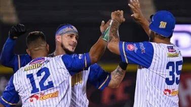 LVBP: Estos son los juegos que tendrá Magallanes, como local, en el Round Robín