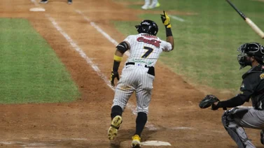 LVBP: Leones del Caracas pone su récord de ronda regular con altas expectativas