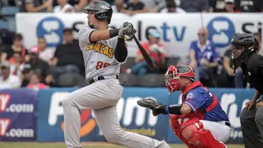 LVBP: Leones y Tiburones suben el telón de un prometedor Round Robin (Previa) LVBP: Leones y Tiburones suben el telón de un prometedor Round Robin (Previa)