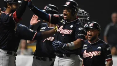 LVBP: Esto cuesta ir a ver a los Tigres en el Round Robin (+Precios)
