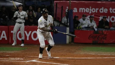 LVBP: El factor Alí Castillo funciona para los Leones de forma inmediata